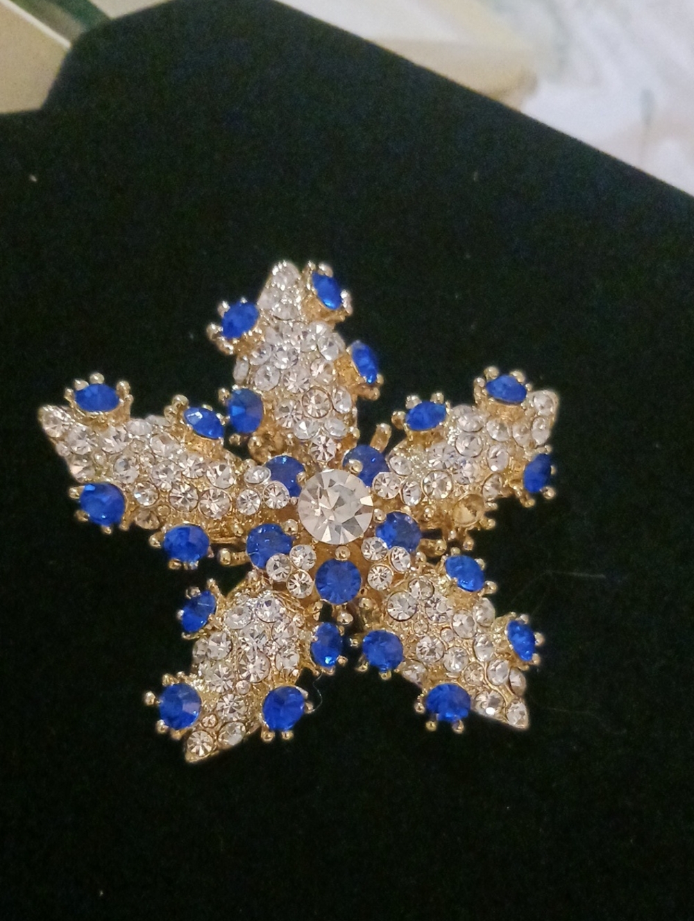 ARNOLD SCAASI BROOCH